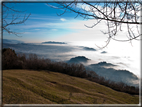 foto Colline di Romano d'Ezzelino nella Nebbia